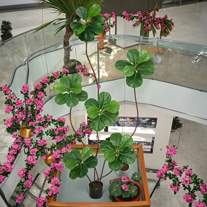 ต้นปาล์ม Areca ใบไม้สีเขียวจำลองใช้ในร่มกระถางพลาสติกเทียมทนน้ำเป็นมิตรกับสิ่งแวดล้อม<span class=keywords><strong>หยก</strong></span> - Product Image 5