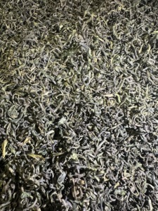 Té verde de alta calidad Mingqian <span class=keywords><strong>Laoshan</strong></span>, té verde de Qingdao, China, producción de Año Nuevo de té verde saludable a granel - Product Image 4