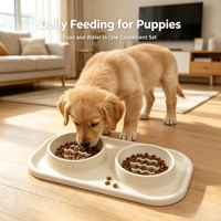 Bol de voyage 2-en-1 durable pour chiens, double usage, anti-renversement, double bol en silicone de qualité alimentaire pour chiens de taille moyenne/petite