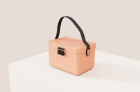 Mini Glacière Portable de Luxe 12L en Plastique Isolée Thermiquement, Étanche pour Pique-nique et Aliments