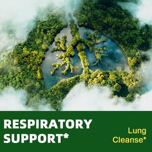 Gotas de Extracto Líquido de Hoja de Gordolobo de Marca Privada OEM, Favorecen el Bienestar Respiratorio, Gotas de Gordolobo Naturales, Halal y Orgánicas - Product Image 6