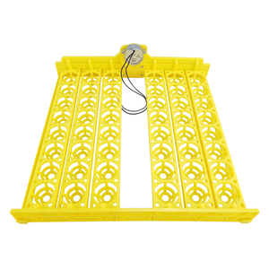 Piccolo pollo da cova completamente automatico <span class=keywords><strong>Mini</strong></span> incubatore 48 uova - Product Image 2