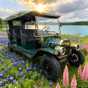 Achetez des voitures classiques vintage, une sélection variée de véhicules à vendre, voitures électriques vintage classiques populaires et idéales - Product Image 3