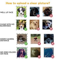 Vente en gros Chaussettes imprimées personnalisées Chaussettes drôles pour couple Animaux Chaussettes visage photo 3d Chaussettes de Noël à sublimation 360 Chaussettes d'impression