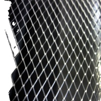 Maille métallique perforée anti-corrosion 4x8 5x8 pour la fabrication de papier filtre, la protection des escaliers, services de découpe et de pliage