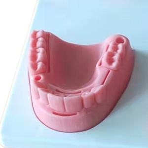 หุ่นฝึกเย็บแผลในช่องปากขนาดเท่าคนจริง พร้อมฐานและโมดูลฟัน สำหรับนักศึกษาทันตกรรม ฝึกอบรมการสอนขั้นสูง อุปกรณ์ทำจาก PVC - Product Image 6