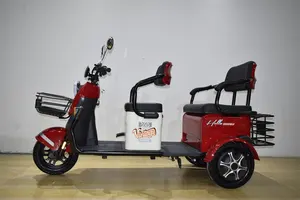 Precio de fábrica Moteur Scooter Triciclo eléctrico China Adulto Triciclo con cesta