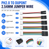 Kabel Adaptor Custom PH2.0 ke DuPont 2.54mm 2 3 4 5 6 Pin Kabel Harness Jumper Kabel Uji untuk Elektronik