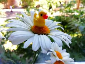 Leuke Hars Eend Miniatuur Beeldje Pasen Ornamenten Voor Home <span class=keywords><strong>Garden</strong></span> Decor Slime Charms - Product Image 6