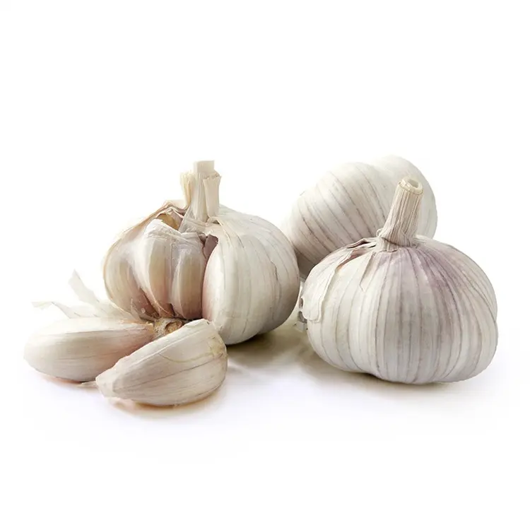 Chinese Fresh Vegetables Shandong Origin Purple Garlic In Bulk Wholesale