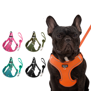 Harnais et laisse réfléchissants anti-traction pour chien, ensemble anti-évasion, gilet en maille respirante pour Corgi, Bouledogue Français, Pomeranian, chiens de petite et moyenne taille - Product Image 1
