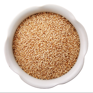 Harga grosir biji wijen kuning kering mentah alami berkualitas tinggi 100% murni. Dibeli dari eksportir Tiongkok - Product Image 3