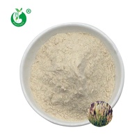 Poudre de Psyllium en Gros, Qualité Alimentaire, 100% Naturelle et Pure, Meilleur Prix