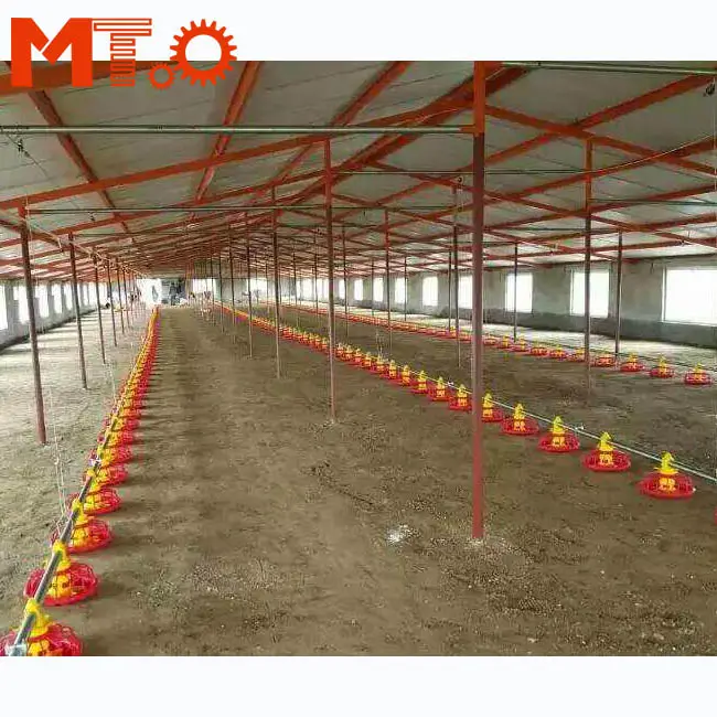 Sistema de alimentación de suelo para aves de corral, bajo precio, superventas, automático