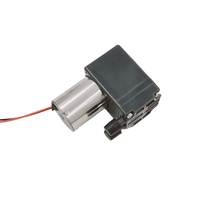 Pompe à air à diaphragme miniature sans balais 3L/min 75Kpa 45Kpa pour usage médical et esthétique, portable, OEM