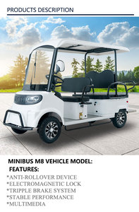 Minibuses Personalizables de Nuevo Diseño para Salidas Familiares y Lugares Turísticos - Product Image 5
