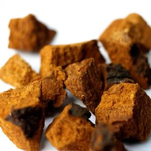 チャガ多糖50% チャガキノコエキス - Product Image 3