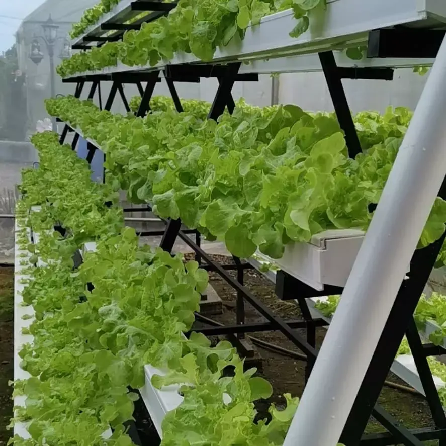 Broeikashydrocultuur Systeem Boerderij Water Cultuur Systeem Hydrocultuur Pvc Nft Kanaal