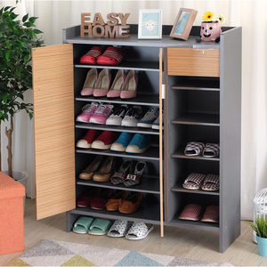 Armario de zapatos de doble puerta, Extra grueso, con cajón - Product Image 1