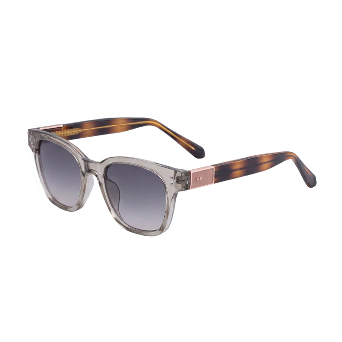 C6 Transparency Coffee Frame Gradual Gray