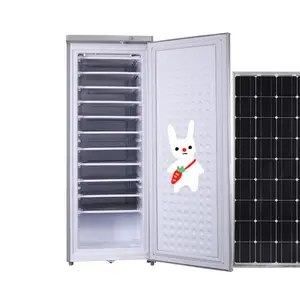 BD-198 DC 24V Mesin blok es surya 11 lapisan baterai gel panel surya komersial 70kg per 24 Jam pembuat es DIY untuk Afrika