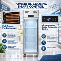 Réfrigérateur vertical commercial à porte vitrée simple pour boissons, bières et sodas, à température unique, fabriqué en Chine