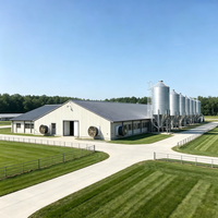 Poulailler modulaire en acier galvanisé à chaud haute résistance pour ferme avicole commerciale évolutive (poulets de chair et pondeuses)