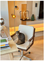 Chaise de bureau ergonomique pivotante avec dossier, style Bauhaus rétro en bois massif, pour l'école et l'hôtel
