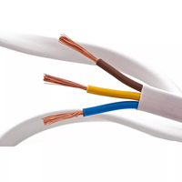 Kabel RVV Pipih Inti Tembaga Terlilit 2/3 Inti 0.5mm 300/500V Berlapis PVC Tipis Fleksibel untuk Pemanas Kabel Tersembunyi Furnitur/Lemari