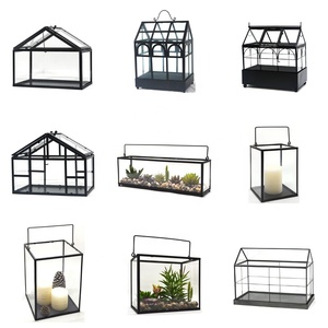 Dakang Dome Treo Nhà Máy Hình Học Loài Bò Sát Làm Hồ cạn Thủy Tinh Cho Các Nhà Máy Kit Container Thu Nhỏ Bán Buôn Với Nắp - Product Image 5