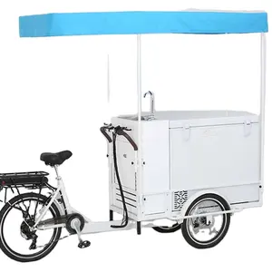 बिक्री के लिए 250 W मोटर बिजली बर्फ क्रीम tricycle फैशन शैली मोबाइल बिजली फ्रीजर