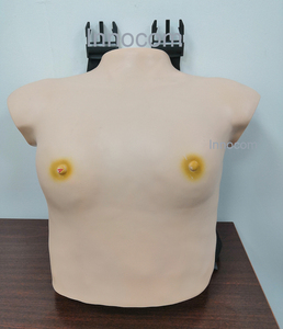 Modello avanzato di esame del seno femminile in PVC manichino anatomico <span class=keywords><strong>scienze</strong></span> mediche di <span class=keywords><strong>formazione</strong></span> scuole mediche altre scuole educative - Product Image 2