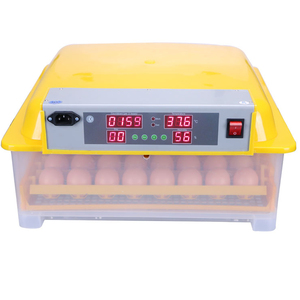 Máy Ấp Trứng 48 Trứng Với Nhiệt Độ Ấp Trứng Gà Mái - Product Image 6