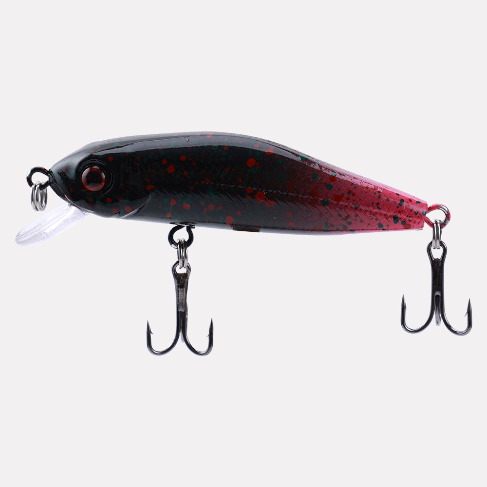 ตัวดำ หางแดง