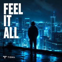 Compte Premium Tidal Music 12 mois |   Abonnement Tidal HiFi Plus