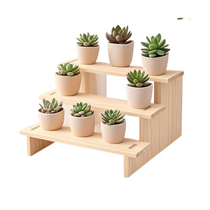Expositor de escritorio tipo caja ciega, escalón de madera, figuras de plantas suculentas en maceta, letreros, muñecas, modelos y adornos - Product Image 1