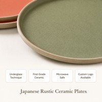 Assiettes en céramique Japandi en gros, glaçure réactive, 11 et 12 pouces, pour restaurant, dîner, pizza, prix d'usine