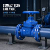 Vanne à opercule compacte en fonte ductile Z45X DN50 DN65 PN16 à brides, à tige non élévatrice, pour l'eau