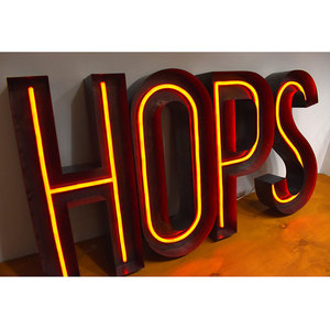 Biểu Tượng Tùy Chỉnh Neon Đăng Kim Loại Cổ Điển Ngoài Trời Cửa Hàng Ánh Sáng Led Đăng Neon Box Đăng Khung - Product Image 6