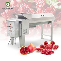 Granatappelverwerkingslijn met crusher, aril-machine en zaadseparator