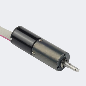 PrimoPal 하이 퀄리티 16mm 500rpm 1625 낮은 RPM 전기 인러너 마이크로 BLDC 모터 (기어 박스 포함) - Product Image 4