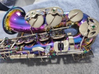 Colorful Lacquer Surface Brass Polished Rust Resistant Eb Alto Saxophone Silver Buttons Abalone Shell Inlay Keys Professional