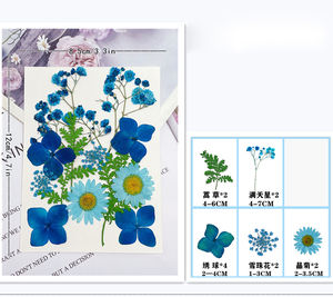 Gepresste Blumen für Harz-Lesezeichen Rahmen-Mixpacks DIY Kunsthandwerk Natürliche Pflanzen Umweltfreundlich - Product Image 4