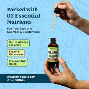 Extracto de Musgo Marino Irlandés Vegano Orgánico OEM/ODM para la Salud Inmunológica y de las Articulaciones - Product Image 4