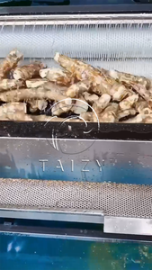 Máquina Peladora y Lavadora <span class=keywords><strong>de</strong></span> <span class=keywords><strong>Yuca</strong></span> en Oferta, Lavadora <span class=keywords><strong>de</strong></span> Patatas con Cepillos, Máquina Peladora <span class=keywords><strong>de</strong></span> Patatas Automática - Product Image 2