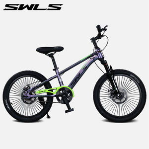 Swls 18/20/22/24 Inch Voor Kinderen En Volwassenen Single Speed Mountainbike Kinderen Mtb Fiets Met Schijf Rem Gewone Pedaal - Product Image 2