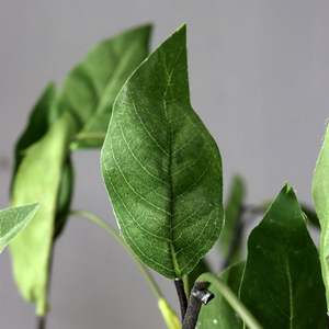 K-0467ดอกไม้ประดิษฐ์สำหรับตกแต่งบ้าน2หัวระบบสัมผัสจริงทำจาก PU - Product Image 4