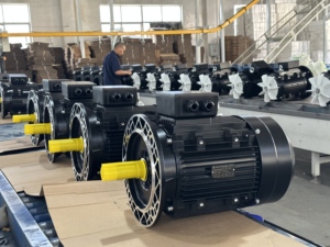 เครื่องกำเนิดไฟฟ้ากระแสสลับแบบอะซิงโครนัสสามเฟส YE2-90S-4 1.1 กิโลวัตต์ 1.5 แรงม้า 1460 รอบต่อนาที มอเตอร์เหนี่ยวนำไฟฟ้าสามเฟส - Product Image 2