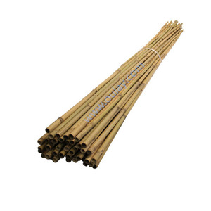High Quality Yellow <strong>Bamboo</strong> Pole Stakes for for Plants Stand <strong>Bamboo</strong> Poles <strong>Canes</strong> HOT SALES Big <strong>Bamboo</strong> - Product Image 2