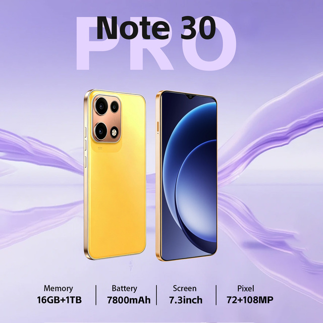 Note 30 Pro Leader 5G Powerhouse 7.3 Inch AMOLED 8000mAh 16GB 1TB GPS Route Alloy Frame Office Expert Heap OEM B2B